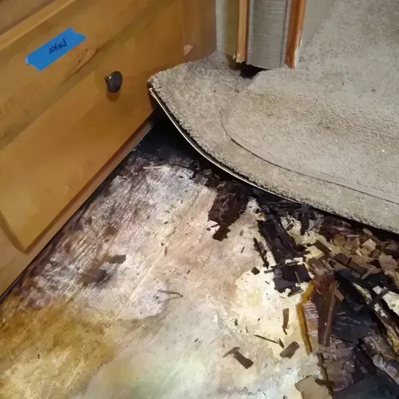 Wood Floor Water Damage in Oak Forest, IL